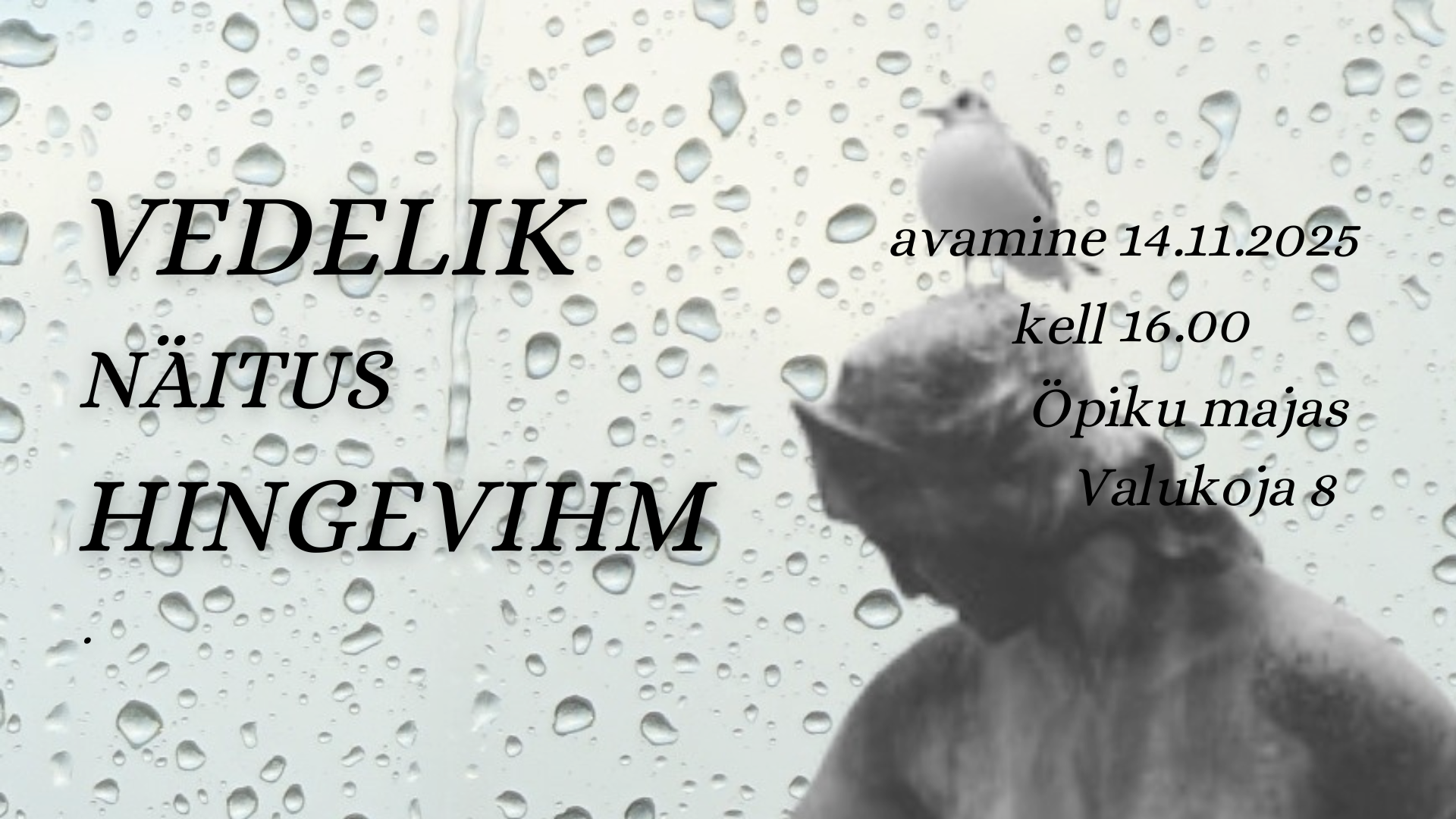 Näituse "Hingevihm" avamine