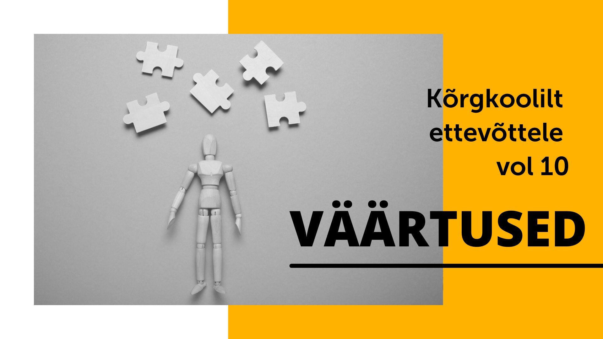 Kõrgkoolilt ettevõttele vol 10: “Väärtused kui vahend organisatsiooni edukuse toetamiseks”